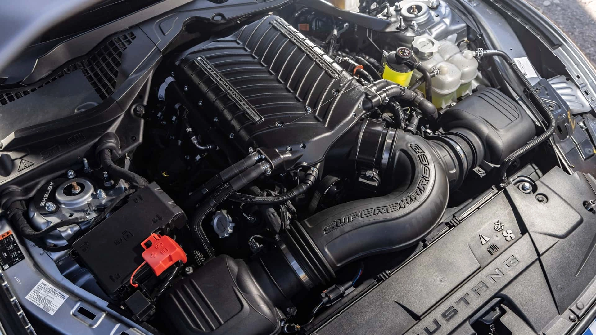 2026 shelby super snake (4)